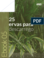 ebook-gratuito-Rt-Dia-05.pdf