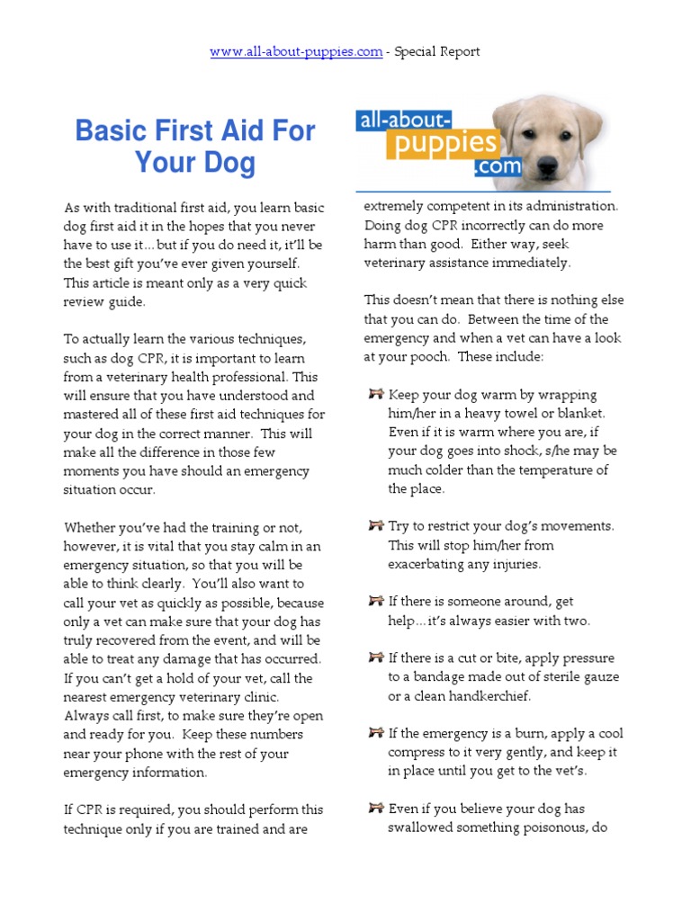 Basic First Aid For Your Dog.PDF Veterinary Physician Cardiopulmonary Resuscitation