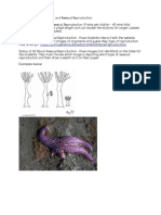 stations - sexual and asexual reproduction  1 