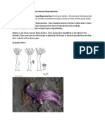 stations - sexual and asexual reproduction  1 