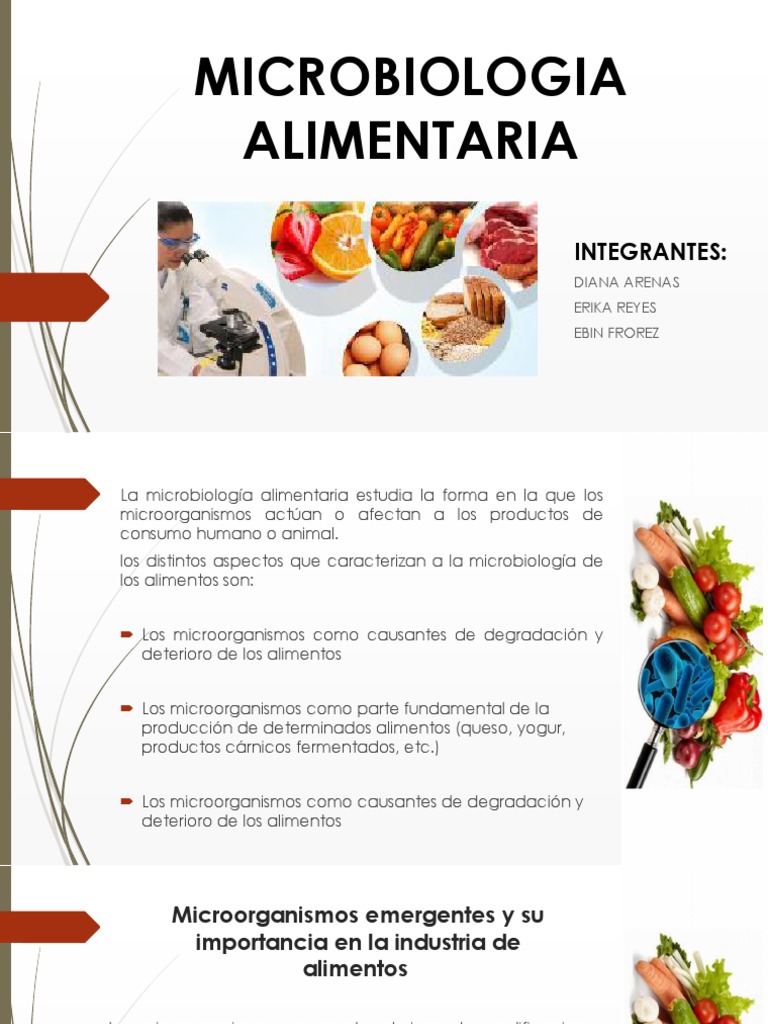 Microbiologia Alimentaria PDF Alimentos