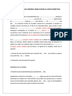 Acta AG-elegirjuntaDirectiva-1.doc