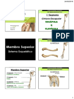 Anatomia Palpatória Membros PDF