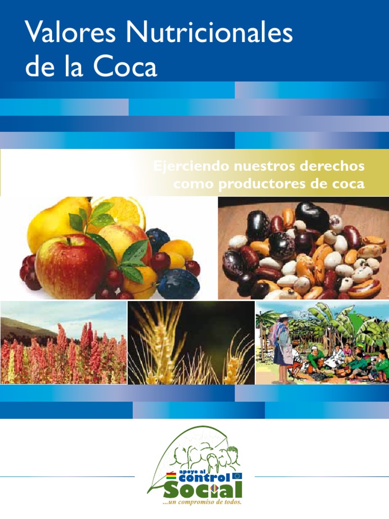 Nutritivo Hoja de Coca PDF PDF Nutrición Dieta y nutrición
