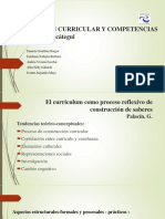 Construcción Curricular y Competencias (1)