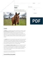 10 Características Del Caballo PDF