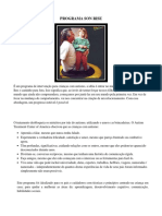 PROGRAMA SON RISE - APOSTILA PRONTA.pdf