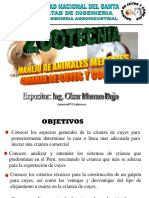 presentacion1_crianza_de_cuyesyconejos.ppt