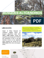 Bosques Altoandinos PDF