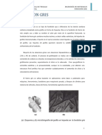Fundicion Gris PDF