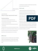 p15 en Es PDF