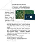 Rizo_T6_PepePalacios.pdf