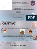 Sistema Nervioso Periferico