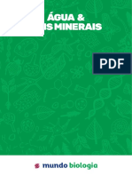 Água e sais minerais essenciais para a vida