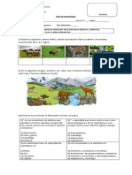 Guía de Aprendizaje Cadena Trofica