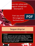 Gangguan Telinga Luar