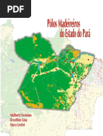 Polos madeireiros no Pará.pdf