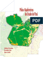 Polos Madeireiros No Pará PDF