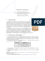 Exp-algebraicas.pdf