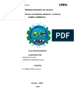 CICLOS BIOGEQUIMICOS.docx