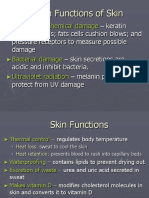 Basic Structure of Skin