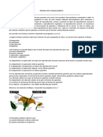 pruebaicfesgradoquinto-150511230356-lva1-app6891.pdf