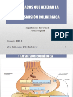 NT Colinérgica 2019 2 PDF