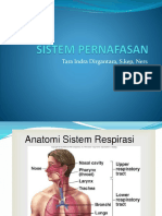 Presentation2 Pernafasan