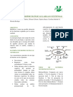 Pruebas Neuropsicológicas