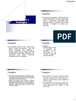 15 - Puerpério Fisiológico e Patológico PDF