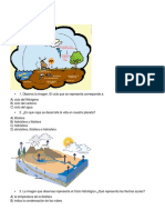 CiclosBiogeoquímicos