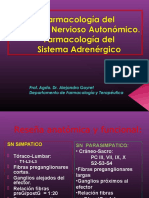 SNA Adr PDF