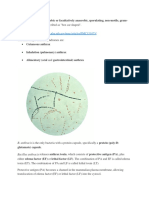 Bacillus anthracis.docx