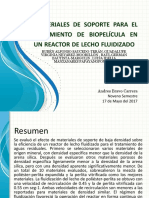 349158500-Materiales-de-soporte-para-el-crecimiento-de-biopelicula-pptx.pptx