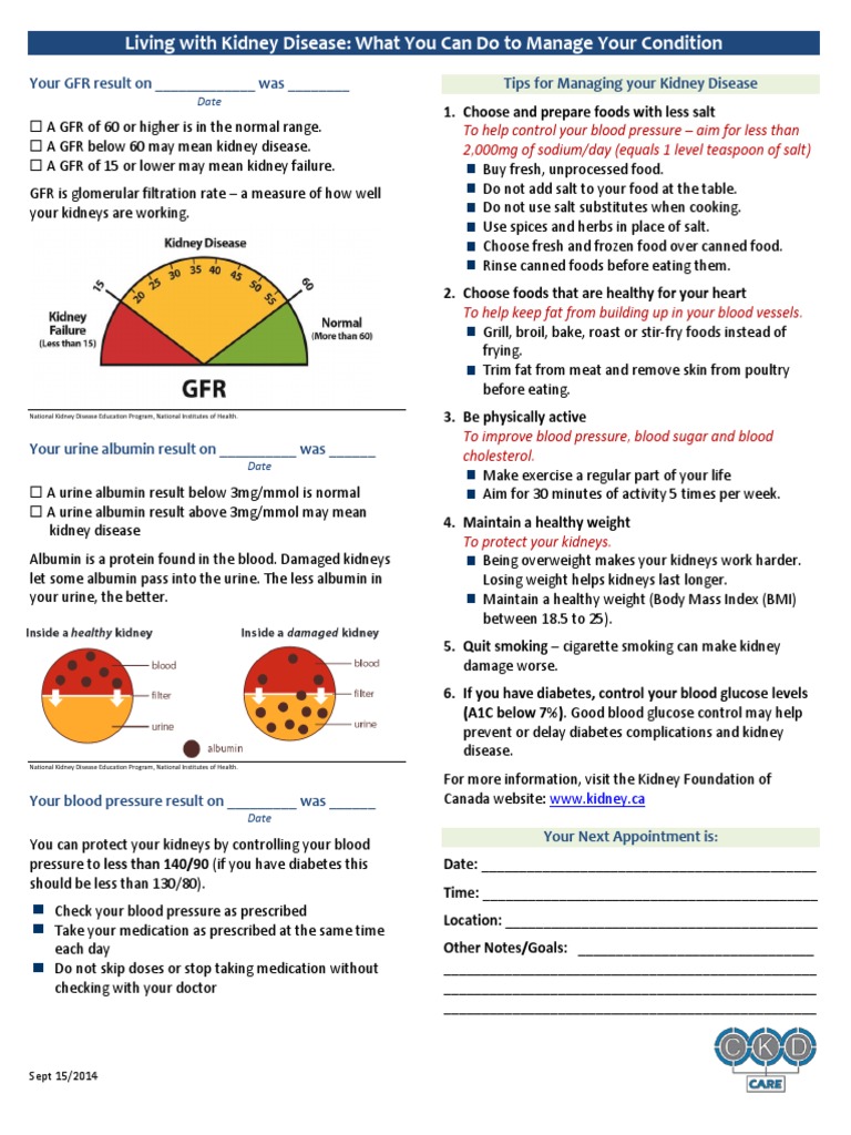 Managing Kidney Disease Effectively | PDF | Renal Function | Chronic ...
