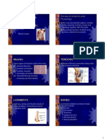 Musculoskeletal PDF
