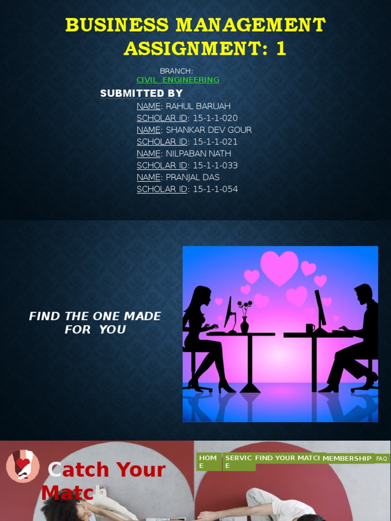 Business Plan for Online Matchmaking Service | PDF | Tinder (App ...