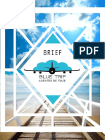 Brief Blue Trip PDF