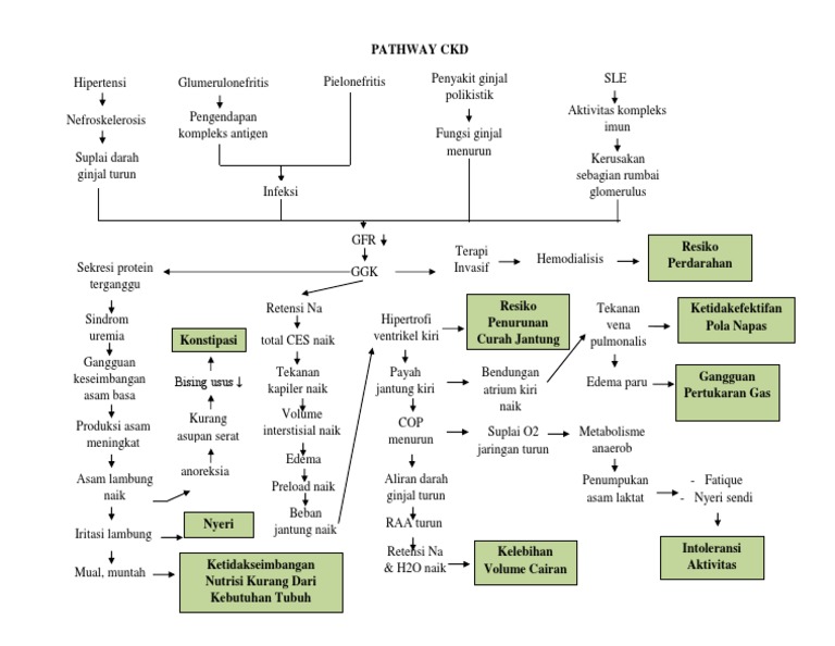 Pathway Penyakit Ginjal Kronis | PDF