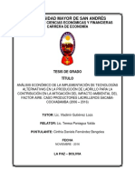 Info Tesis Peligros Del Ladrillo PDF