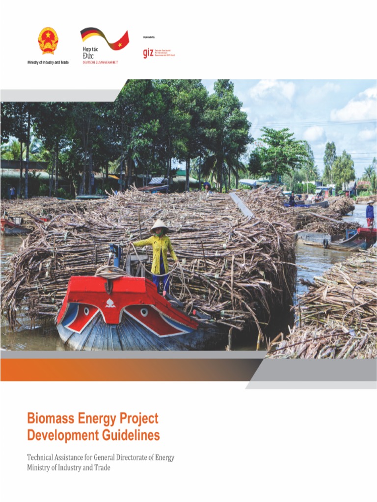 Biomass Energy Project Development Guidelines PDF PDF Kilowatt Hour