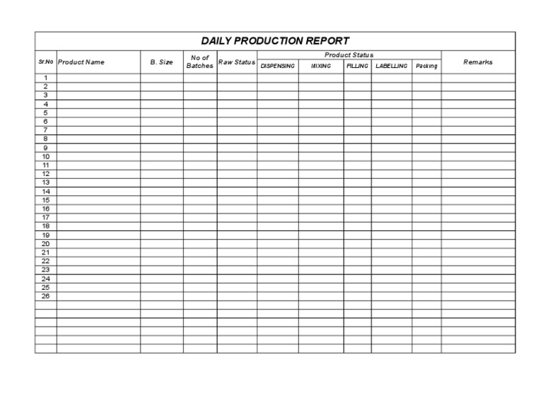 Daily Production Report | PDF