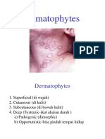 Dermatophytes 2018