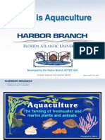 What Is Aquaculture: Developed by The Harbor Branch ACTED Staff