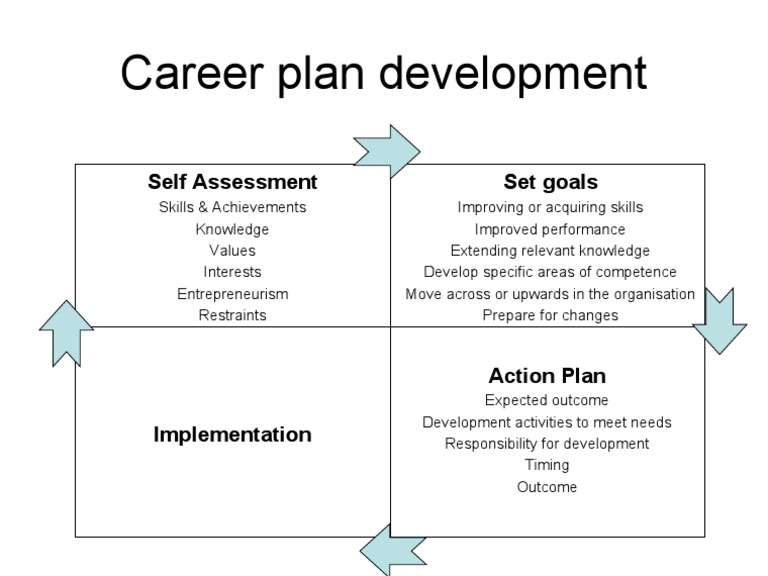 Career Development Plan Guide | PDF | Career & Growth | Business