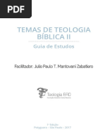 023-teo-ead-fecp-temas-teologia-biblica-2.pdf