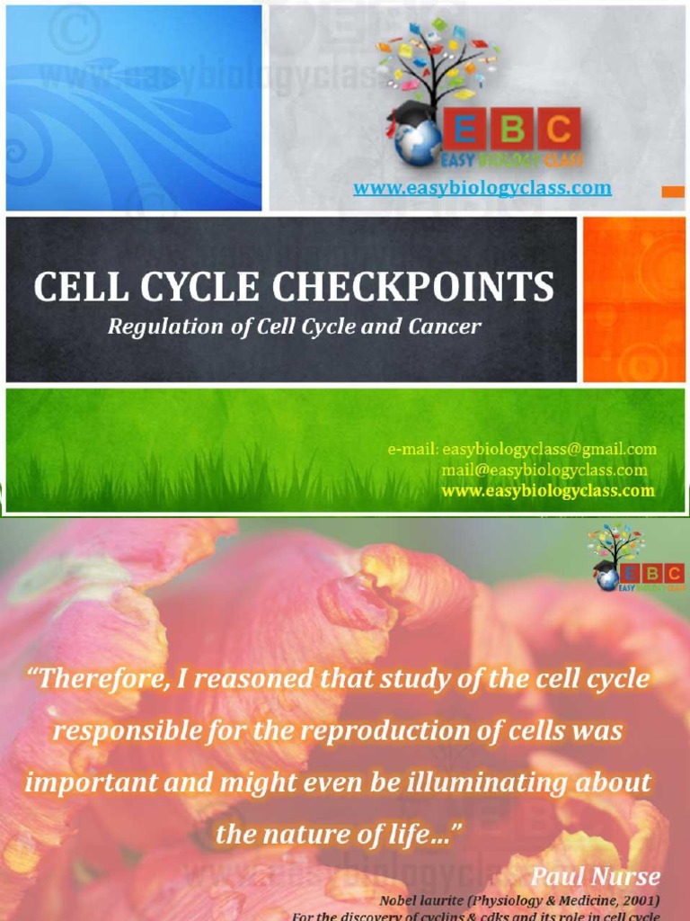 Cell Cycle Checkpoints PPT by Easybiologyclass Biology Diagrams