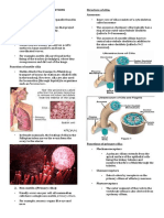 Cell Surface Modifications