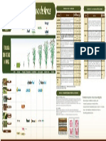 fenologia arroz  tqc.pdf