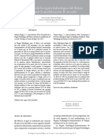 V6n1a5 PDF